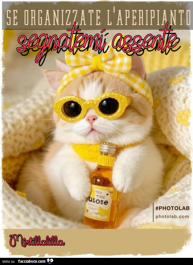 Segnatemi assente