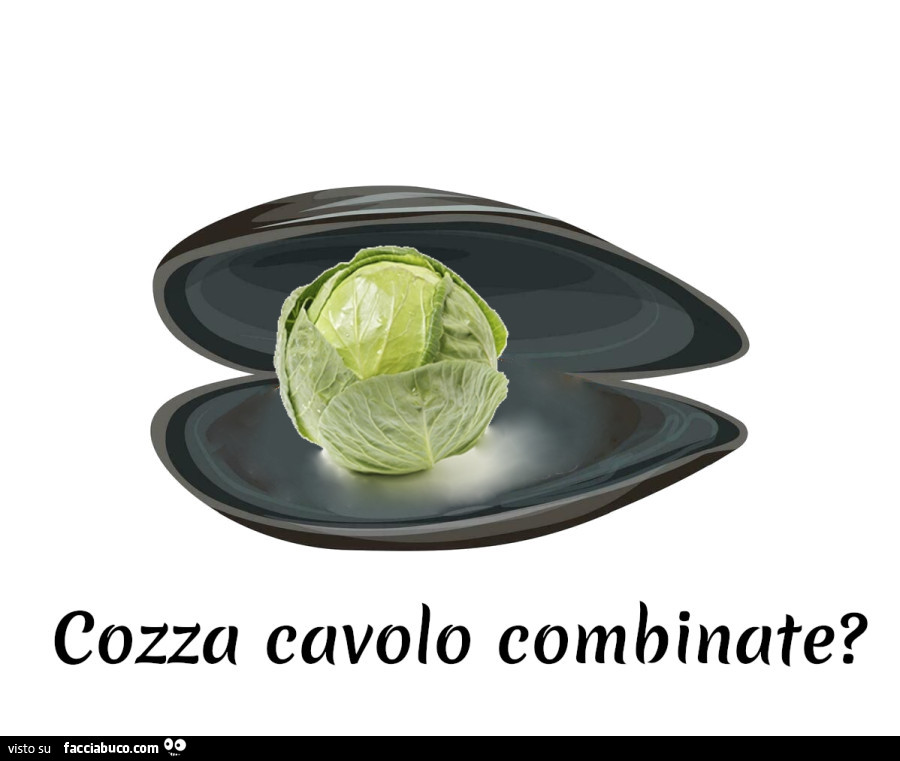 Cozza cavolo combinate?