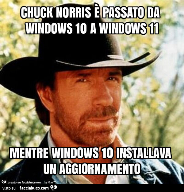 Chuck norris รจ passato da windows 10 a windows 11 mentre windows 10 installava un aggiornamento