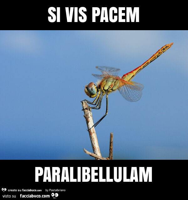 Si vis pacem paralibellulam