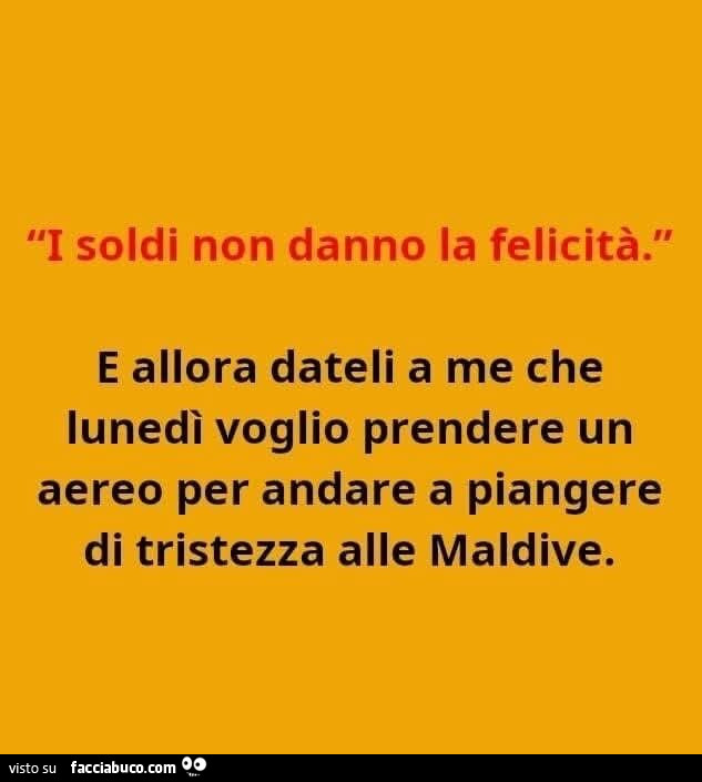 I soldi non danno la felicità. E allora dateli a me che lunedì voglio prendere un aereo per andare a piangere di tristezza alle maldive
