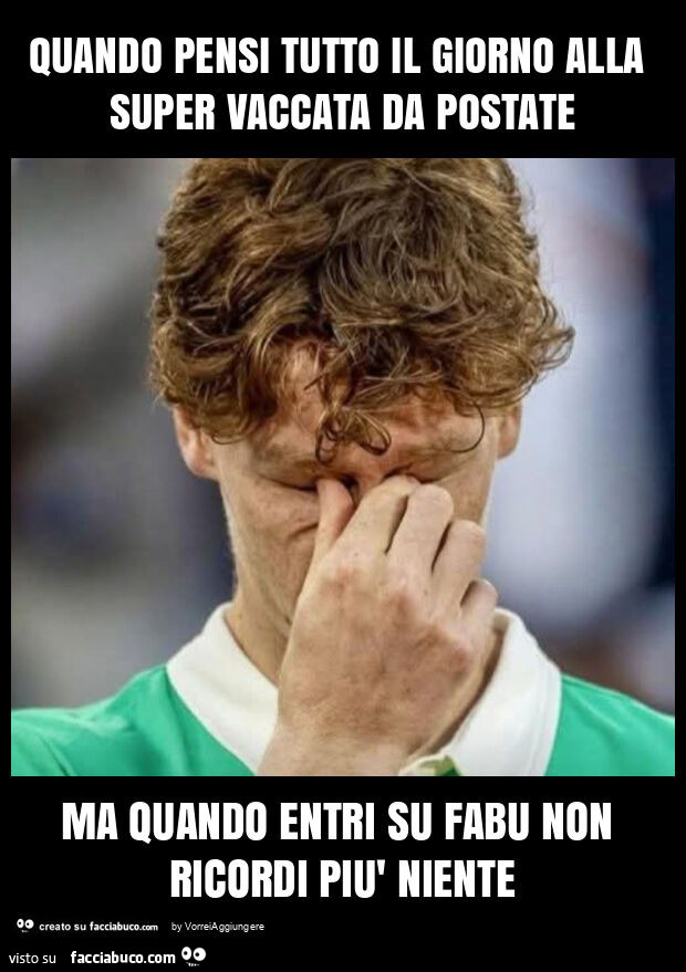 Quando pensi tutto il giorno alla super vaccata da postate ma quando entri su fabu non ricordi più niente
