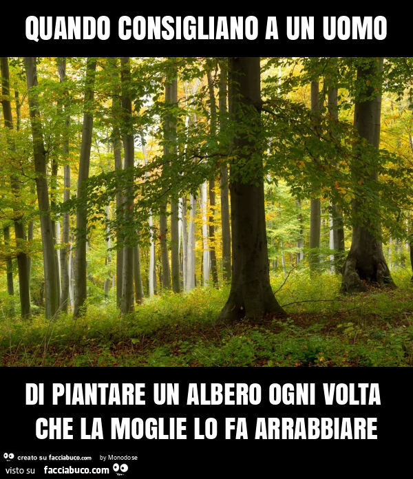 Quando consigliano a un uomo di piantare un albero ogni volta che la moglie lo fa arrabbiare