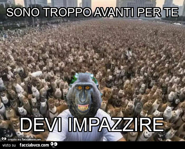 Sono troppo avanti per te devi impazzire