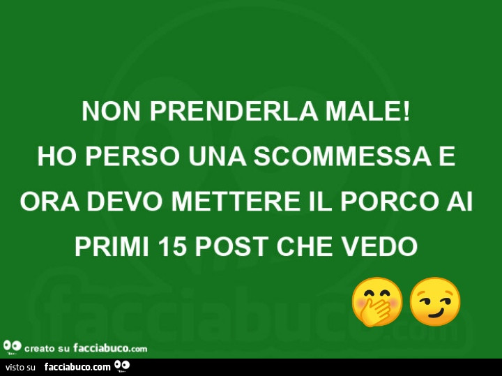 Non prenderla male! Ho perso una scommessa e ora devo mettere il porco al primi 15 post che vedo