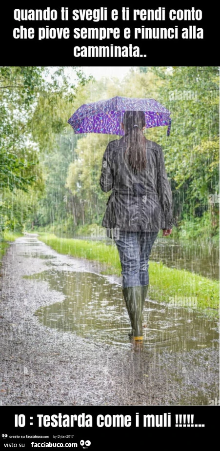 Quando ti svegli e ti rendi conto che piove sempre e rinunci alla camminata. Io: testarda come i muli