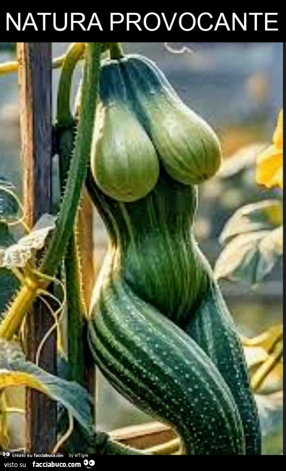 Natura provocante
