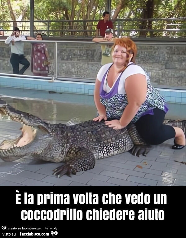 È la prima volta che vedo un coccodrillo chiedere aiuto