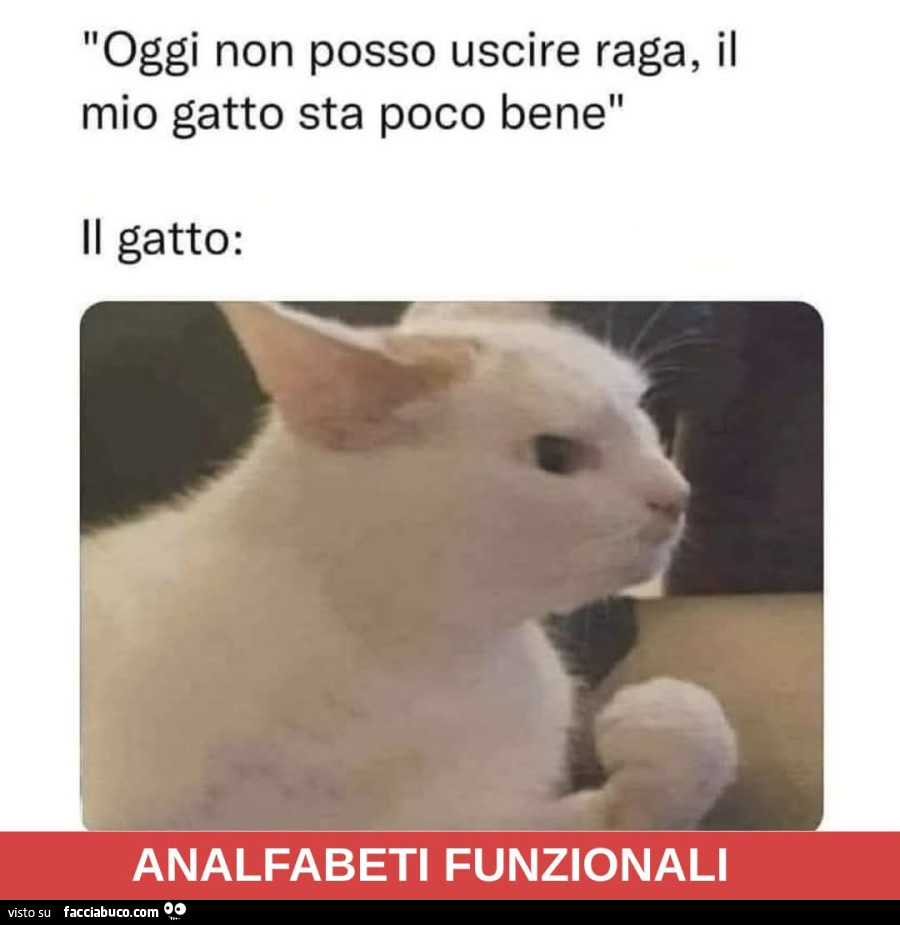 Vaccata