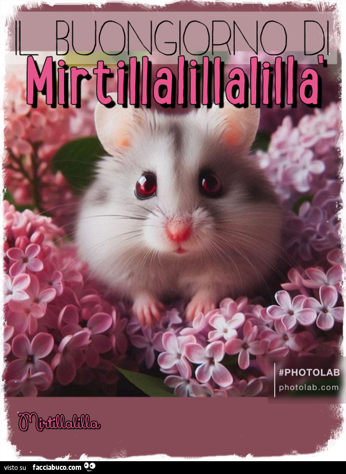 Lilla lillà