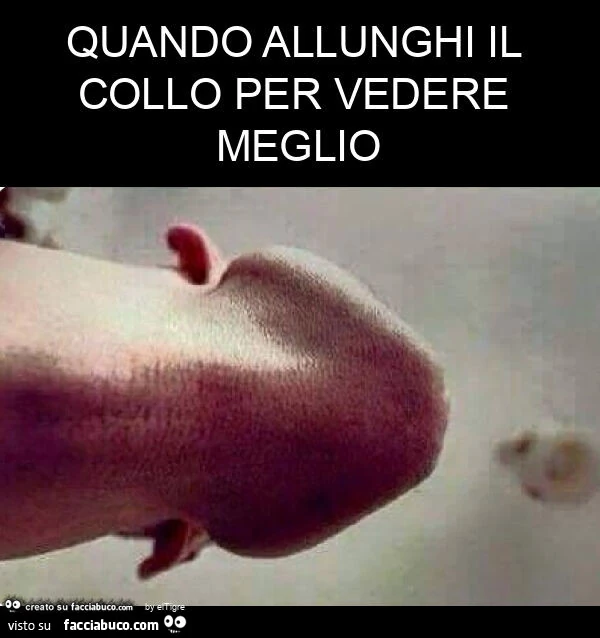 Quando allunghi il collo per vedere meglio