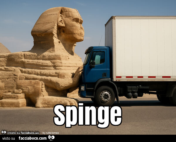 Spinge