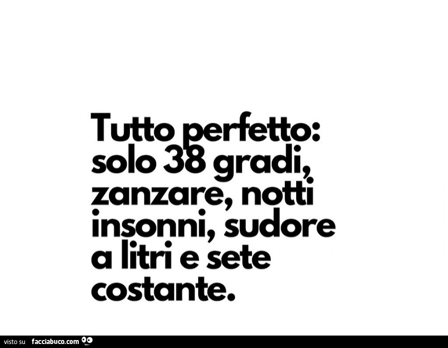 Tutto perfetto: solo 38 gradi, zanzare, notti insonni, sudore a litri e sete costante
