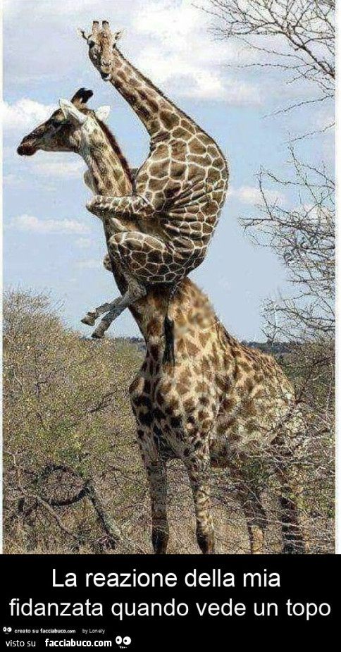 La reazione della mia fidanzata quando vede un topo