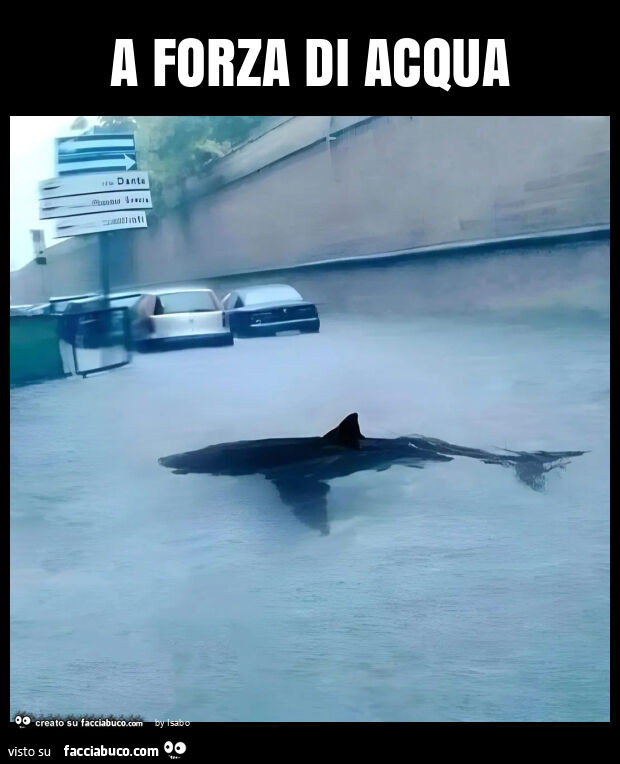 A forza di acqua