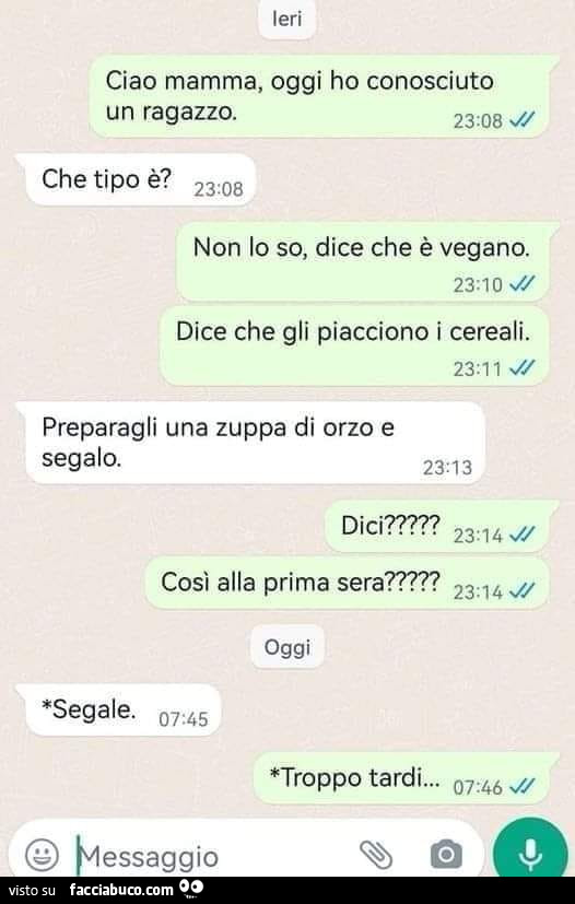 Ciao mamma, oggi ho conosciuto un ragazzo. Che tipo è? Non lo so, dice che è vegano. Dice che gli piacciono i cereali. Preparagli una zuppa di orzo e segalo