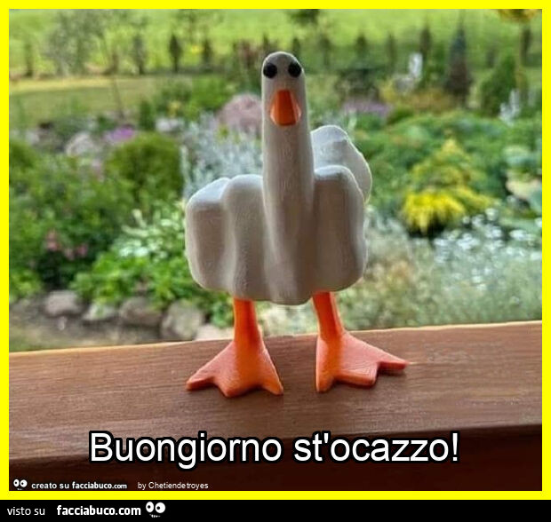 Buongiorno st'ocazzo