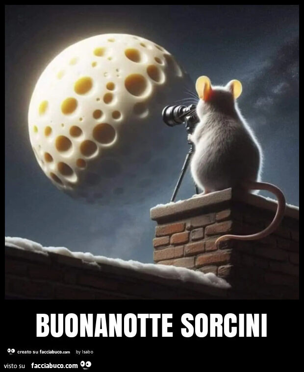 Buonanotte sorcini