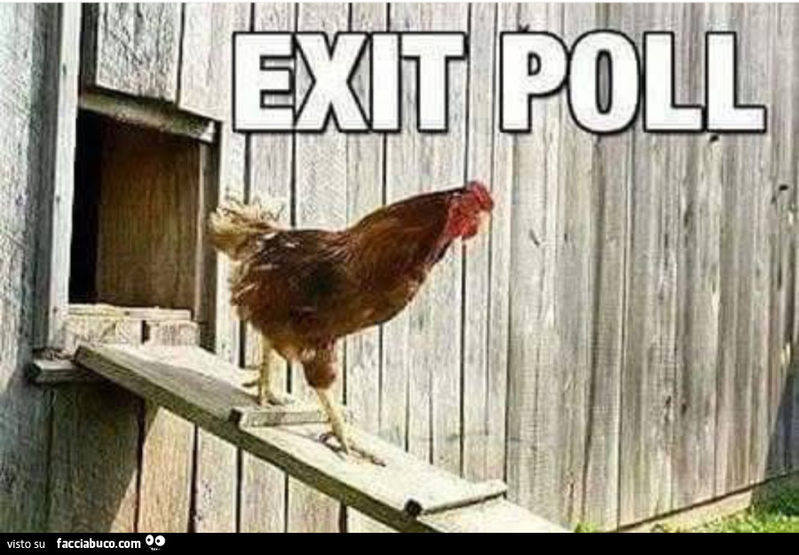 Exit poll pollo
