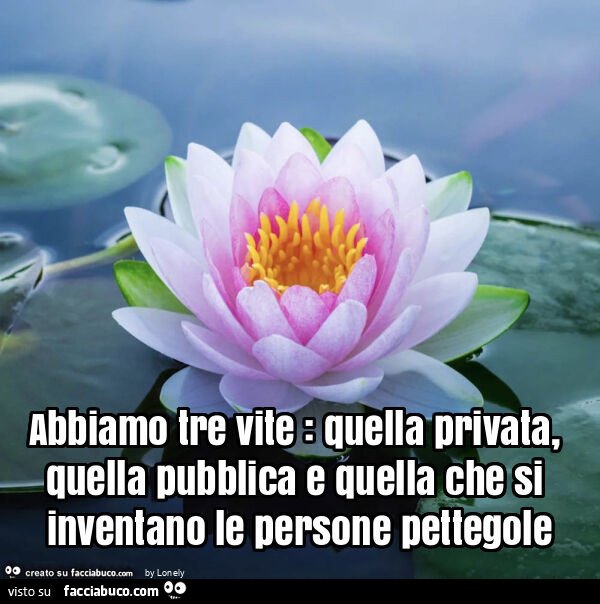Abbiamo tre vite: quella privata, quella pubblica e quella che si inventano le persone pettegole