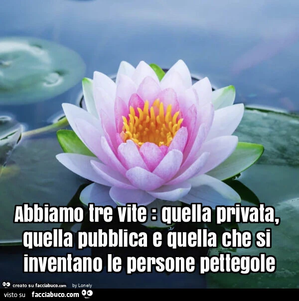 Abbiamo tre vite: quella privata, quella pubblica e quella che si inventano le persone pettegole