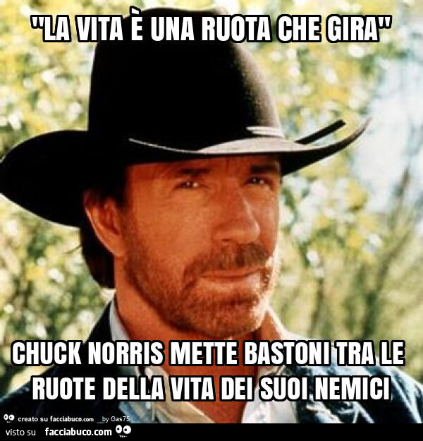 "la vita è una ruota che gira" chuck norris mette bastoni tra le ruote della vita dei suoi nemici