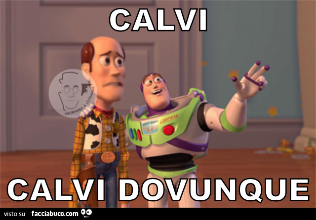 Calvi calvi dovunque