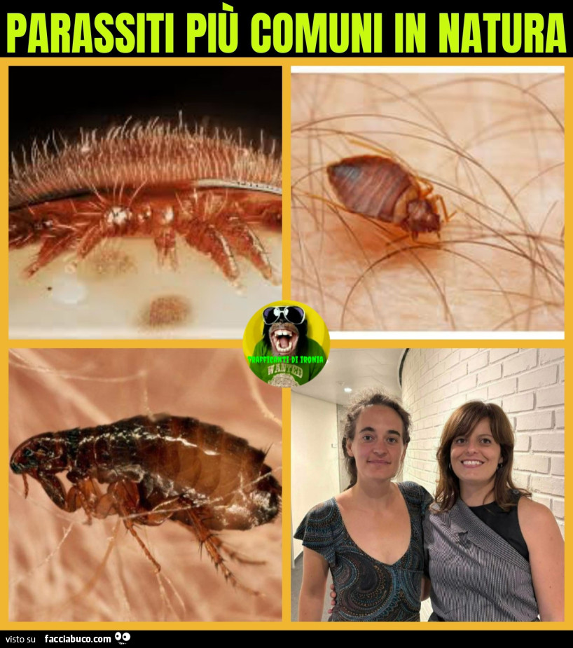 Parassiti più comuni in natura