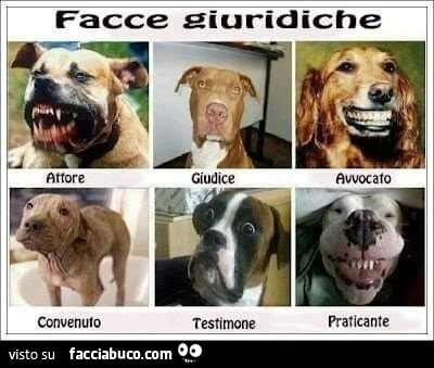 Facce giuridiche