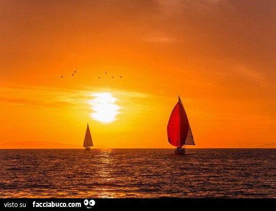 Barche a vela al tramonto