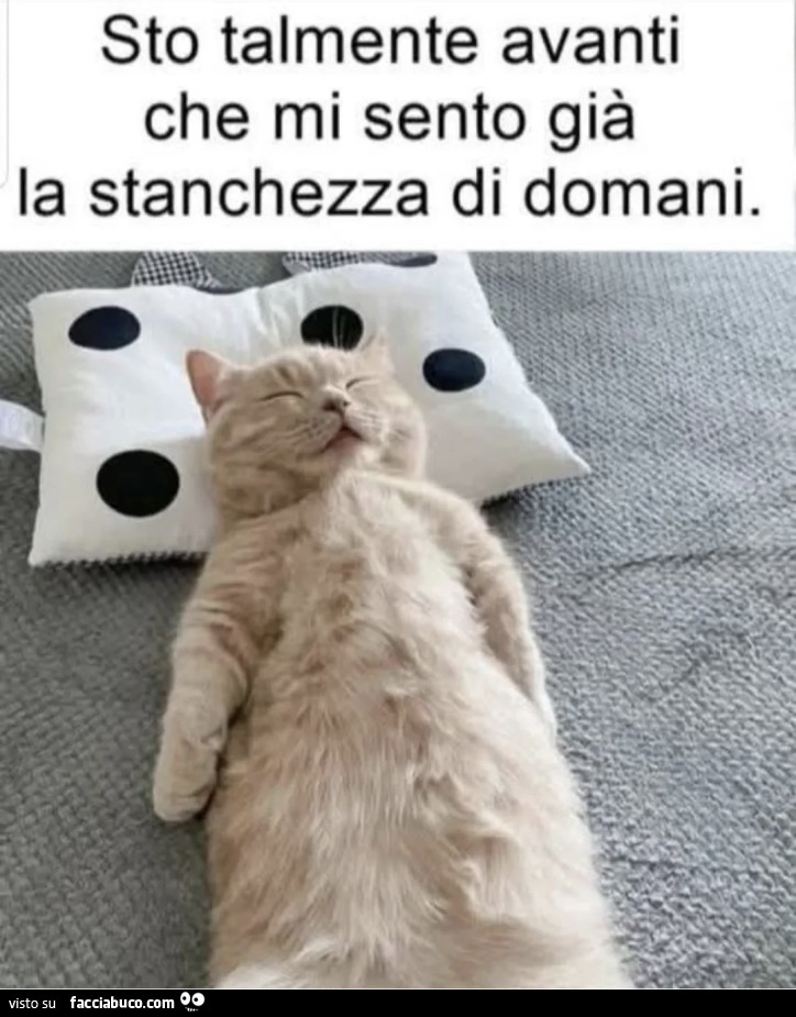 Vaccata