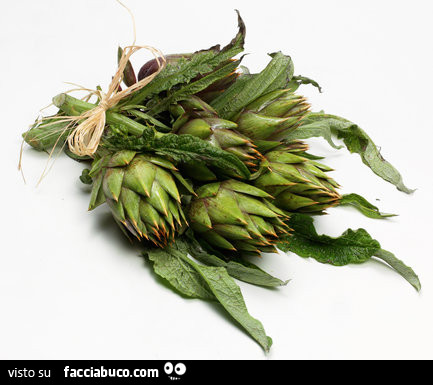 Vaccata