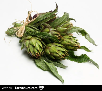 Vaccata