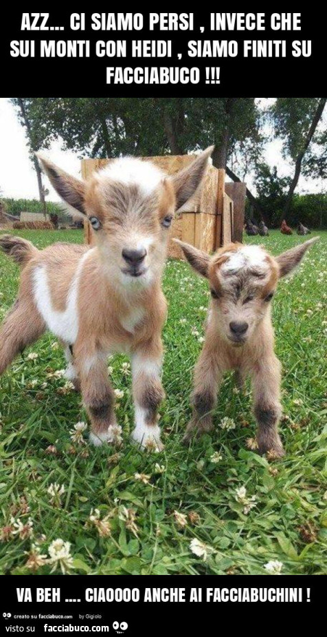 Azz… ci siamo persi, invece che sui monti con heidi, siamo finiti su facciabuco! Va beh… ciaoooo anche ai facciabuchini
