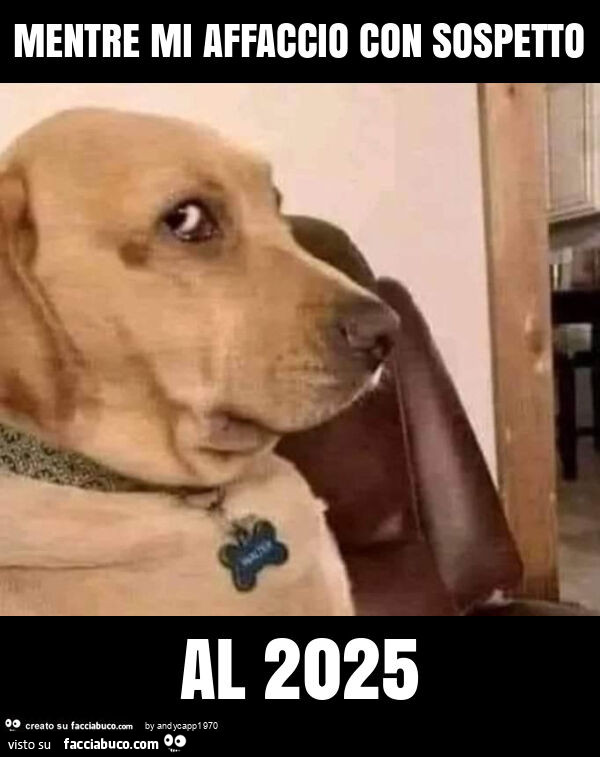 Mentre mi affaccio con sospetto al 2025