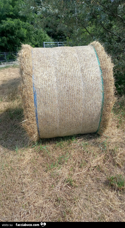 Passeggiata nella Campagna