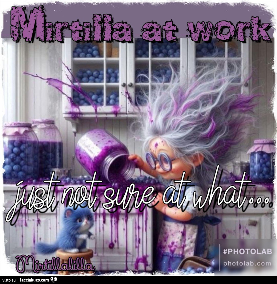 Mirtilla at work