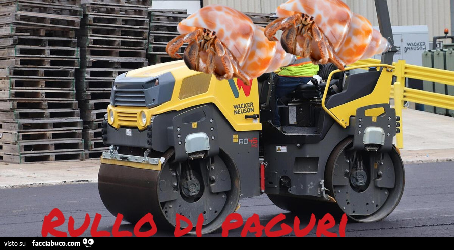 Vaccata