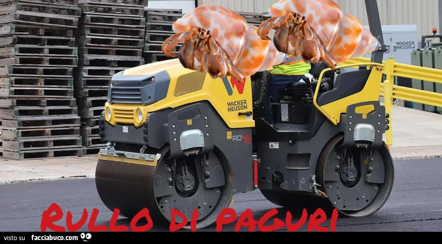 Vaccata