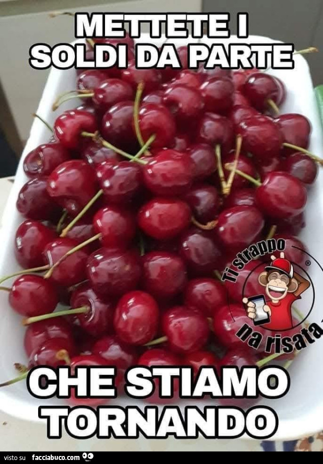 Vaccata