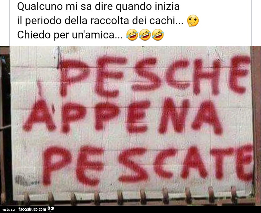 Frutta
