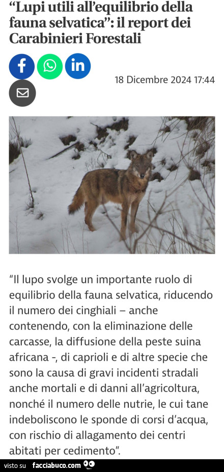 Vaccata