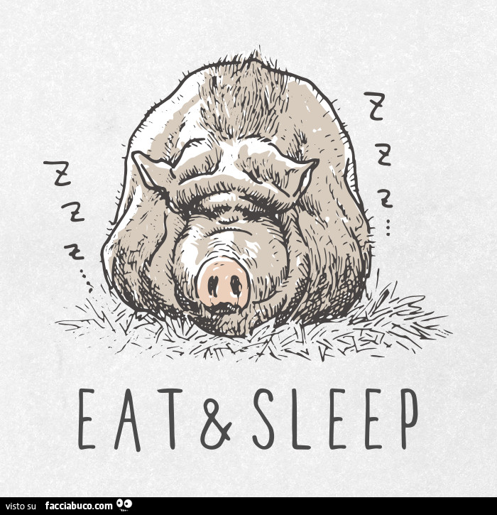 Eat e Sleep