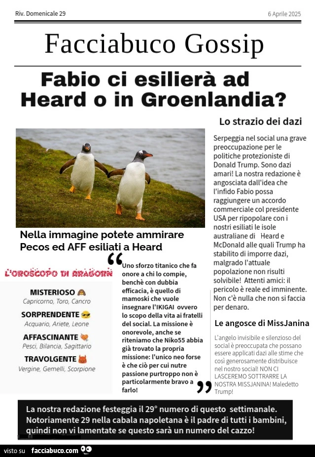 Facciabuco Gossip 29