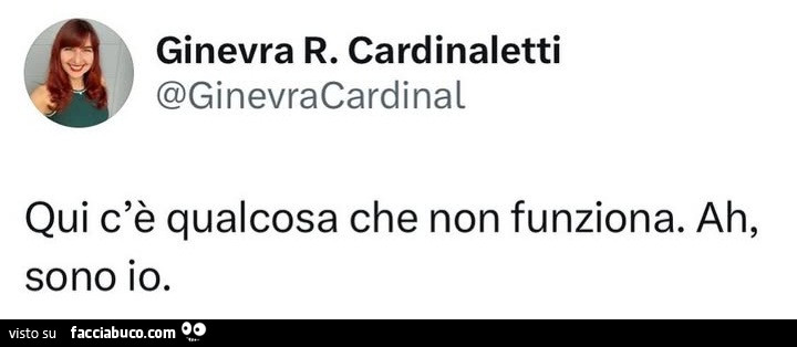 Qui c'è qualcosa che non funziona. Ah, sono io