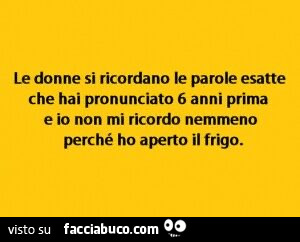 Le donne si ricordano le parole esatte che hai pronunciato 6 anni prima e io non mi ricordo nemmeno perché ho aperto il frigo