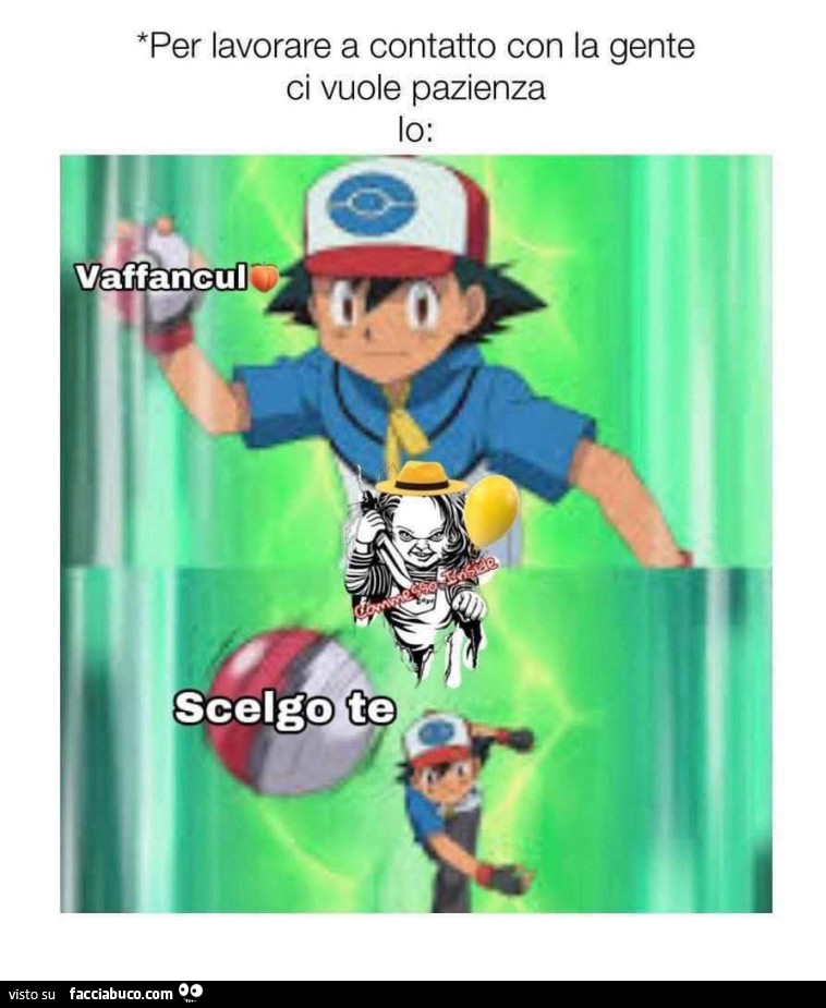 Vaccata
