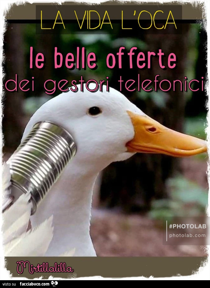 Gestori telefonici