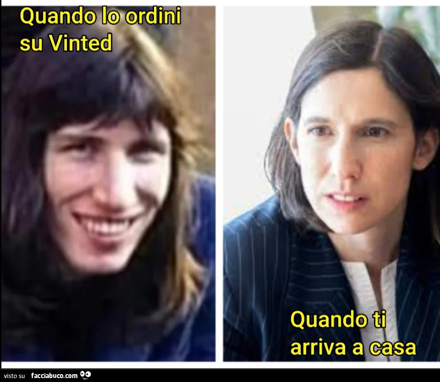 Elly Schlein sosia di Roger Waters
