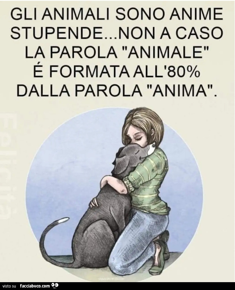 Gli animali sono anime stupende non a caso la parola animale è formata all'80% dalla parola anima